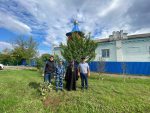В рамках Всероссийской экологической акции «Зеленая Россия» сотрудники УИС высадят деревья в станице Ханской